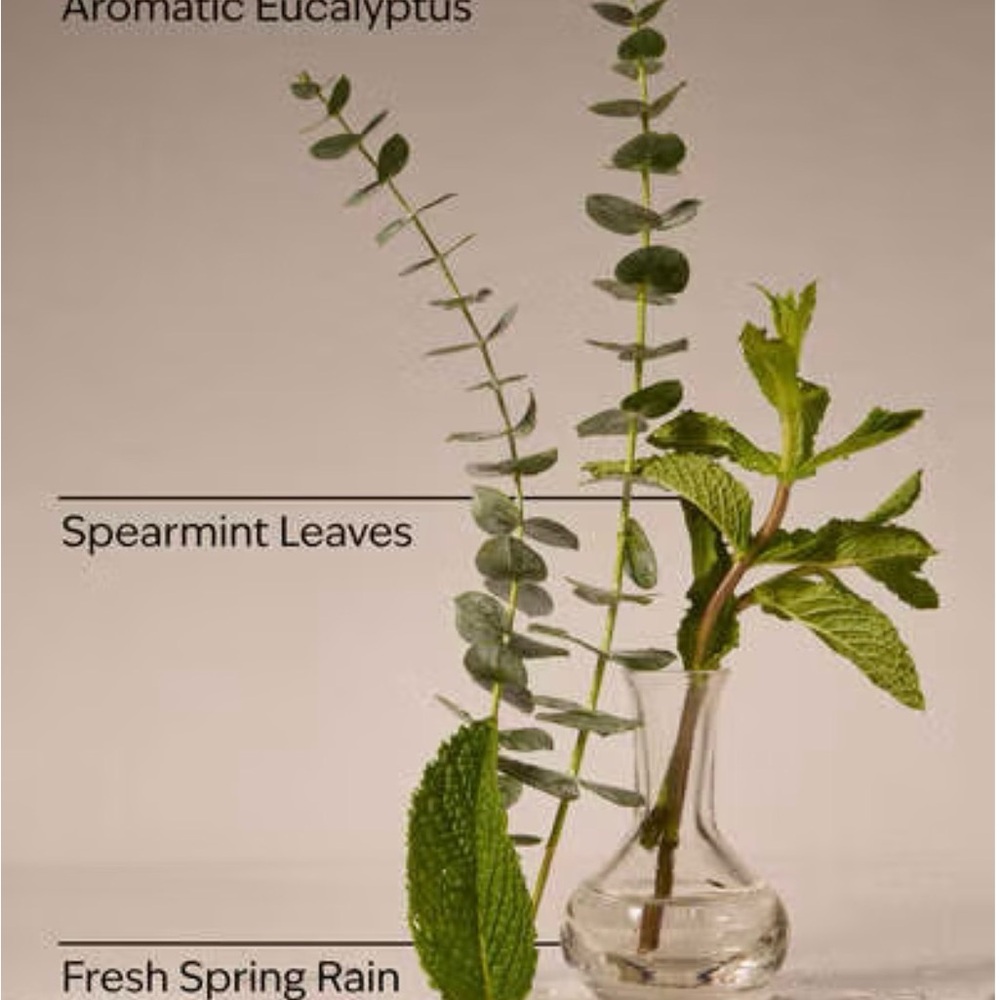 Bath and Body Works Wallflowers Eucalyptus Rain Home Fragrance 1 Refill - NWB - Picture 3 of 4